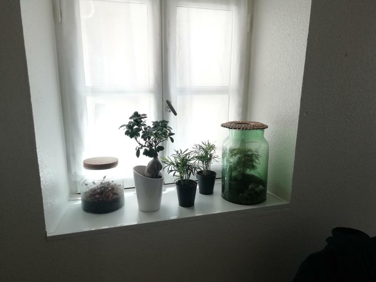 Apartmán Le 39 Nîmes Exteriér fotografie